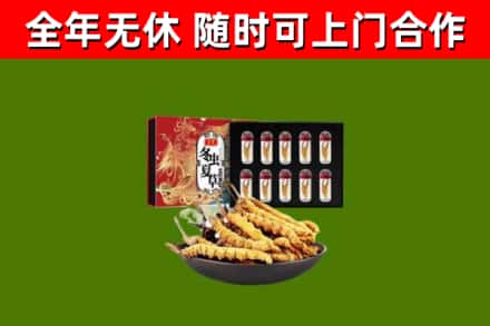 邹城市回收冬虫夏草价格